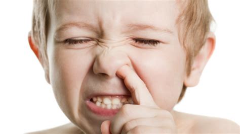 You can stop worrying about your booger eater – Artofit