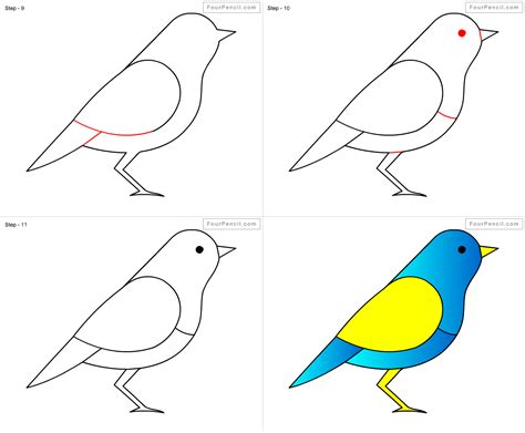 A Few Different Bird Drawing For Kids - DIARY DRAWING IMAGES