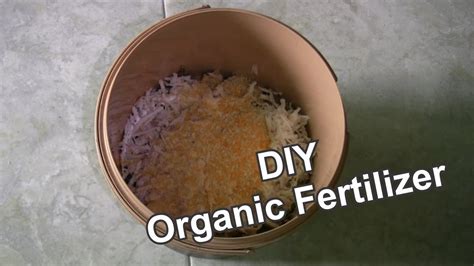 DIY Organic Fertilizer - YouTube