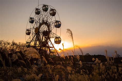 Ferris Wheel Sunset Photograph by Tim Townley | Fine Art America