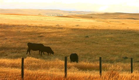 sunrise near Broadus, MT 854A5554 | Montana's majestic mount… | Flickr