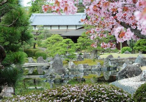 Nijo Castle - Japan Cherry Blossom Guide | japanese cherry blossom festival