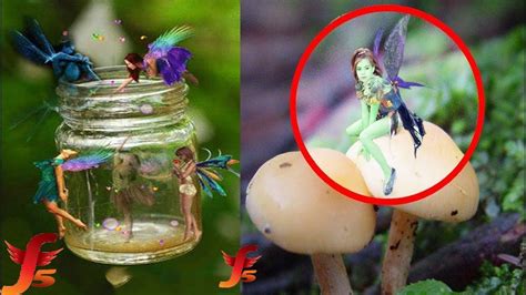 Top 5 Real Fairies Caught On Camera & Spotted In Real Life Evidence ...