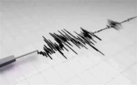 Terremoto oggi 12 novembre 2024: tutte le ultime scosse | Ultim'ora Italia