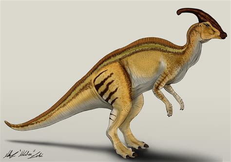 The Lost World Jurassic Park Parasaurolophus by NikoRex on DeviantArt