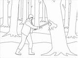 Coloring Lumberjack Pages Lumber Paul Bunyan Drawing Jack Laferrari  sketch template