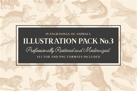 The Handcrafted Vintage Fonts Pack - Tom Chalky