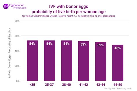 Donor Egg IVF Success Rates - What Clinics Don’t Tell You