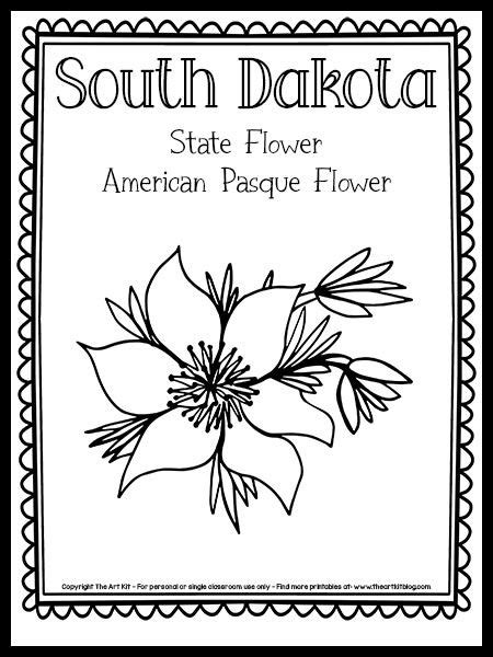 South Dakota State Flower Coloring Page (American Pasque Flower!) {FREE Printable!}