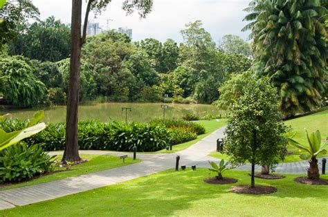 Singapore Botanic Gardens - Nerd Nomads