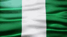 Nigerian Flag Cute Sticker - Nigerian Flag Cute Box - Discover & Share GIFs