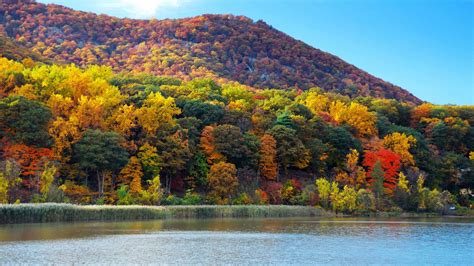 Experience the Brilliant Fall Colors on the Hudson River | Hudson River ...