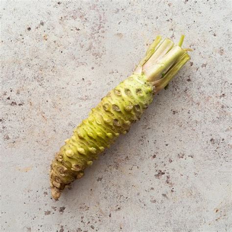 FRESH JAPANESE WASABI ROOT | FINE & WILD