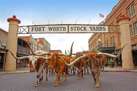 The hidden gems of cowtown your fort worth travel guide – Artofit