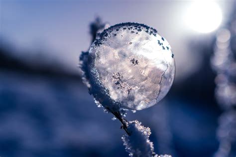 Free picture: frost, snow, dusk, winter, nature, snow, snowflake ...