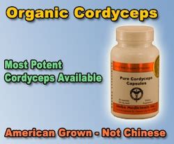 Cordyceps Benefits - Sye Rodriguez