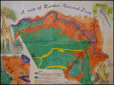 Zambezi National Park Zimbabwe at the doorstep of Vic Falls