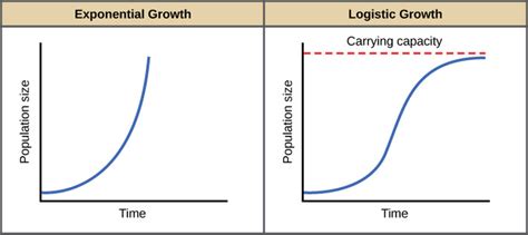 45.2A: Exponential Population Growth - Biology LibreTexts