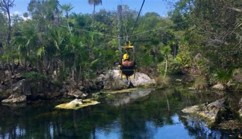 Have you biked through the tree tops? See nature in a new way ...