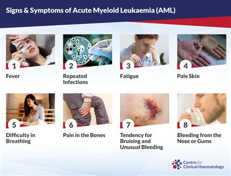 Acute Myeloid Leukaemia (AML): Signs & Treatments