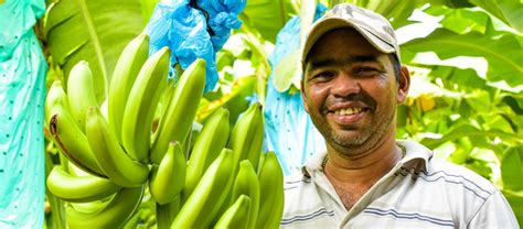 Banana Impact Report - 2019 – Fairtrade America