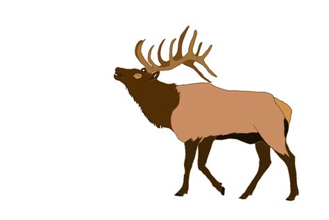 Elk Deer Clip art - Cl Cliparts png download - 1787*1200 - Free Transparent Elk png Download ...