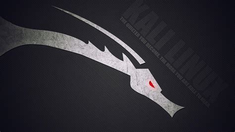 Kali Linux Wallpapers 1920x1080 - Wallpaper Cave