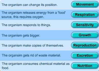 MRS GREN | Teaching - science | Pinterest | Gcse science, School and Teaching science