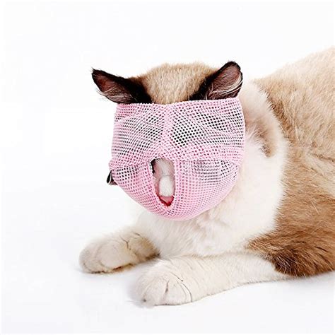 {Updated} List of Top 10 Best air muzzle for cats in Detail