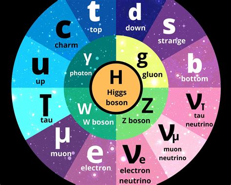 Standard Model Particle Physics Chart | My XXX Hot Girl