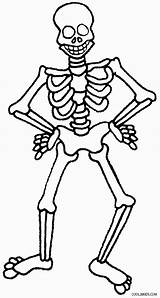 Printable Skeleton Coloring Pages For Kids  Cool2bKids sketch template