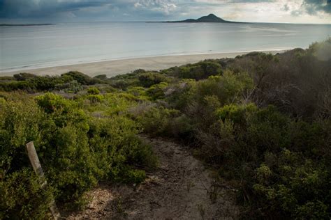 Wild coastal scenery on the walk to Egg Beach on Flinders Island | Hiking the World