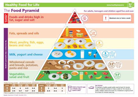 Guidance on the revised Food Pyramid | Athboy Family Practice