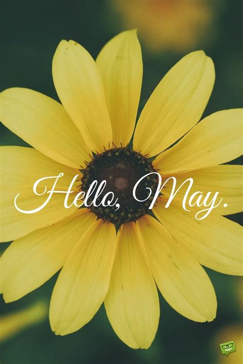 Hello May | May quotes, Hello may quotes, Months in a year