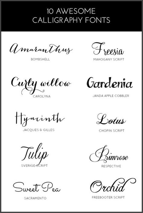 10 Awesome Calligraphy Fonts (A Little Opulent) | Best calligraphy fonts, Calligraphy fonts ...