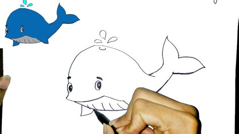 Cara Menggambar Ikan Paus Lucu | How to draw a Cute Whale - YouTube