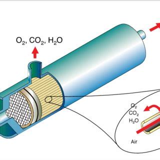 (PDF) Onboard Inert Gas Generation System/Onboard Oxygen Gas Generation System (OBIGGS/OBOGS) Study