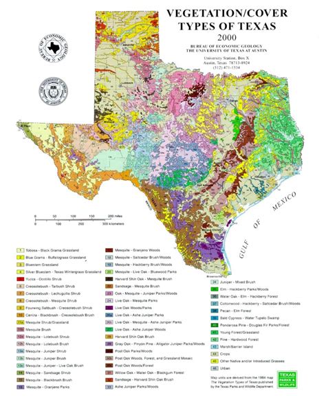 Texas Geologic Map Google Earth - Printable Maps