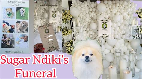 Inside Moshe Ndiki’s Dog Funeral Service| The Funeral of Sugar Ndiki| A ...