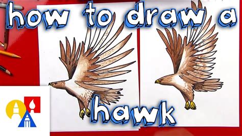 How To Draw A Realistic Hawk | Art for kids hub, School art projects, Art for kids