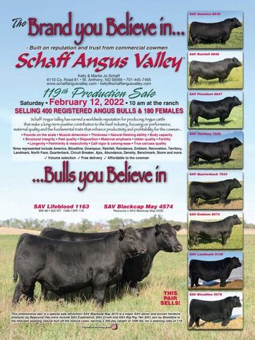 Schaff Angus Valley Sale Brochure 2022 by PeltonLivestock - Issuu