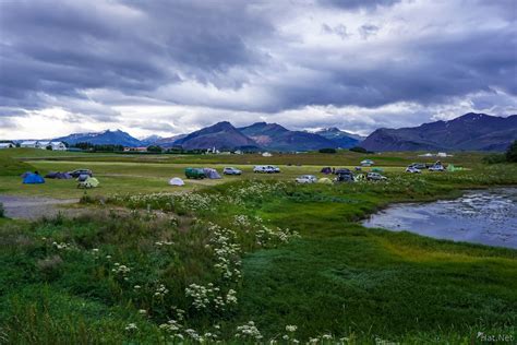 Seydisfjordur sheep, hofn : Iceland 2016