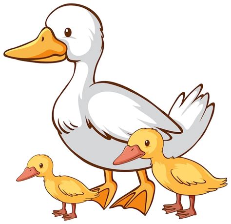 Free Vector | Mother and baby duck cartoon on white background