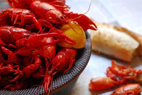 Crawfish boil recipe (with cooked crawfish) - Easy guide