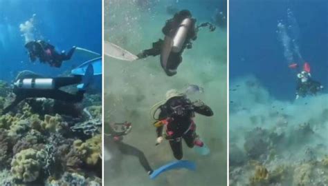 Video shows underwater earthquake in Indonesia from the perspective of divers | Newshub