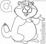 Free Gopher Coloring Pages PDF  Coloringfoldercom Animal coloring sketch template