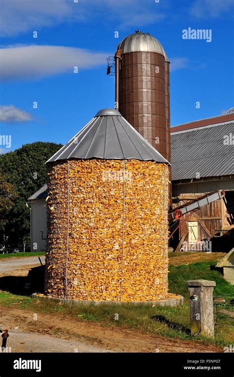 Lancaster County, Pennsylvania: Silo and corn crib filled with dried ...