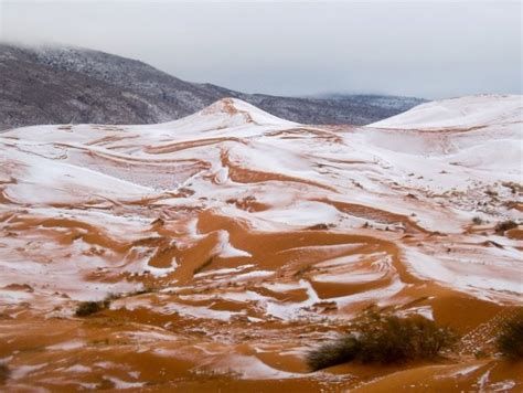 CUPUMA: Gurun Sahara Bersalju untuk Pertama Kalinya Dalam 37 Tahun