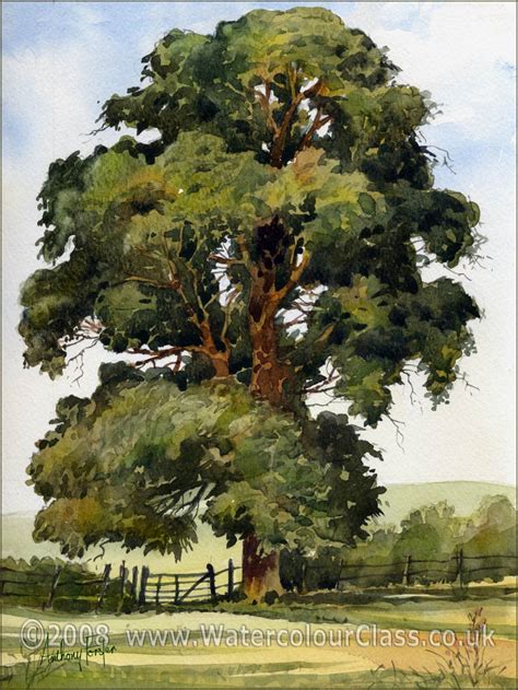 Tree Watercolor paintings | Tree watercolor painting, Watercolor ...