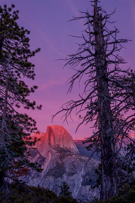 Sunset Alpenglow on Half Dome - Great Basin School of Photography